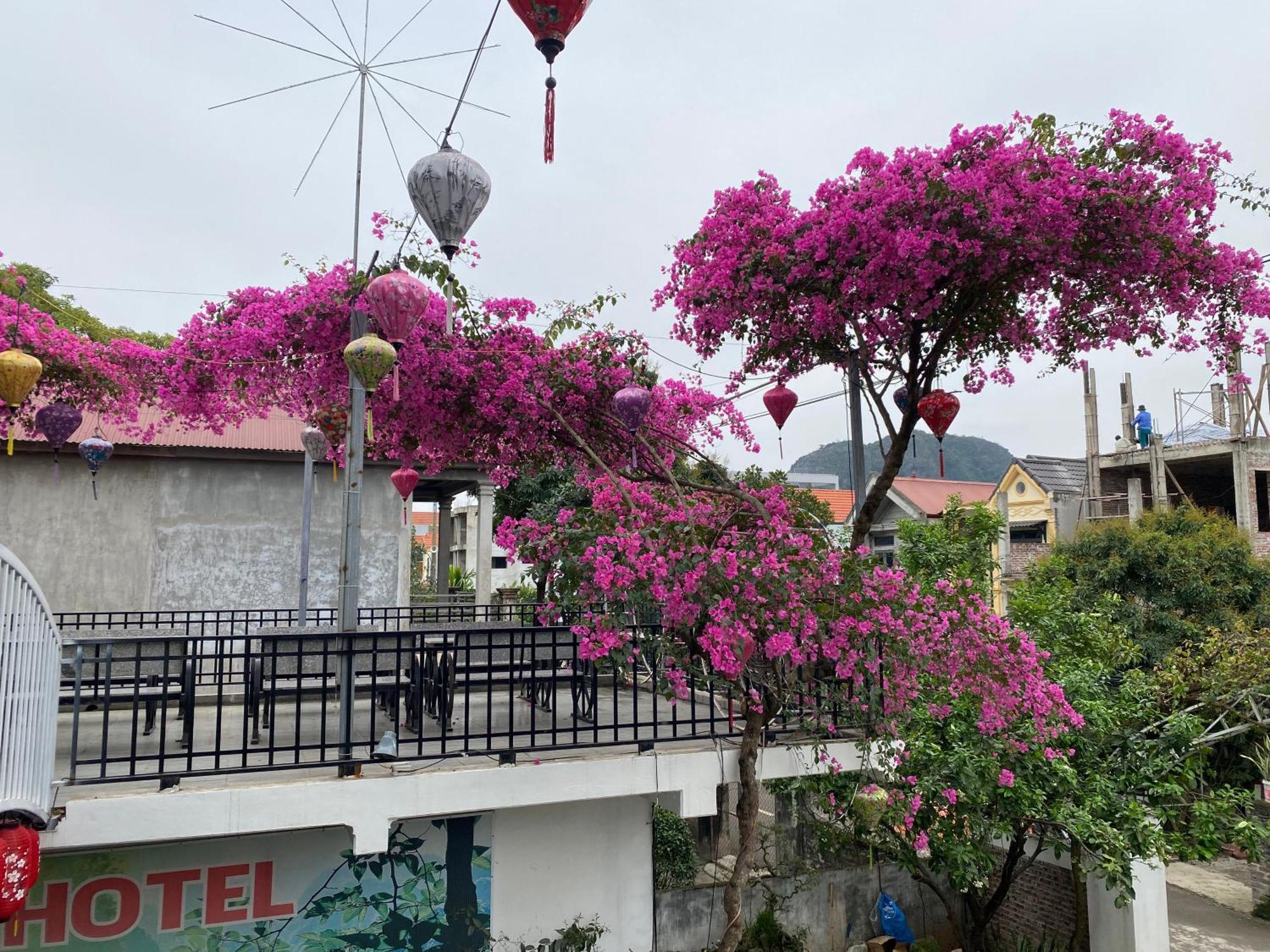 Elizabeth Hotel Tam Coc Ninh Binh Eksteriør billede
